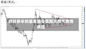 好坏参半的基本面令美国天然气费用
承压-第2张图片-多讯网