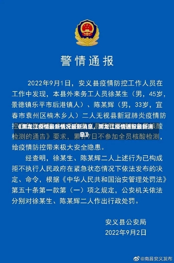 《黑龙江疫情最新情况最新消息，黑龙江疫情通报最新消息》-第1张图片-多讯网