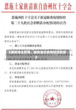 《最新湖北疫情，最新湖北疫情防控政策》-第3张图片-多讯网