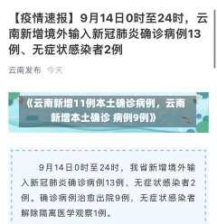 《云南新增11例本土确诊病例，云南新增本土确诊 病例9例》-第2张图片-多讯网