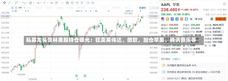 私募龙头景林美股持仓曝光：狂卖英伟达、微软，加仓苹果、腾讯音乐等-第1张图片-多讯网