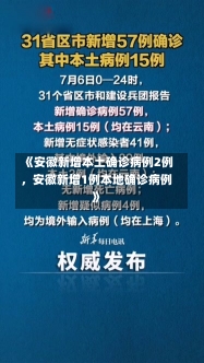 《安徽新增本土确诊病例2例，安徽新增1例本地确诊病例》-第2张图片-多讯网