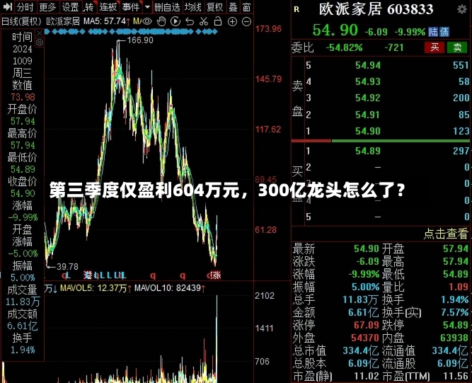 第三季度仅盈利604万元，300亿龙头怎么了？-第2张图片-多讯网