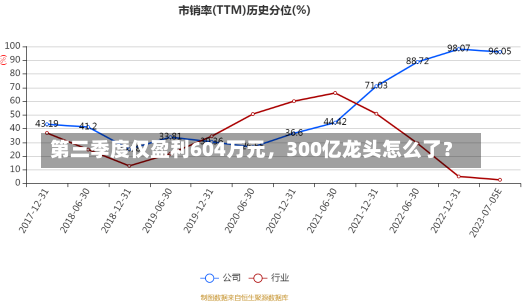 第三季度仅盈利604万元，300亿龙头怎么了？-第1张图片-多讯网