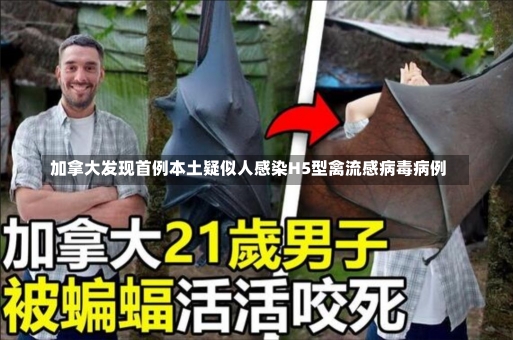 加拿大发现首例本土疑似人感染H5型禽流感病毒病例-第2张图片-多讯网