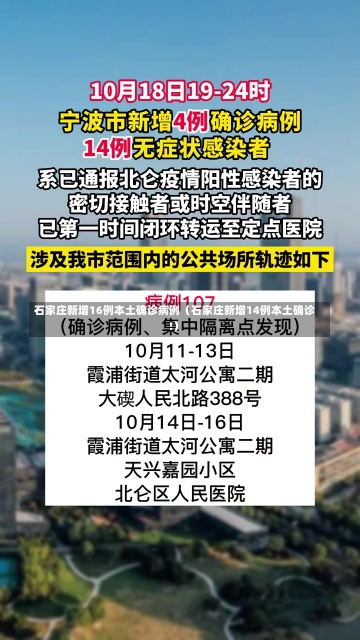 石家庄新增16例本土确诊病例（石家庄新增14例本土确诊!）-第2张图片-多讯网