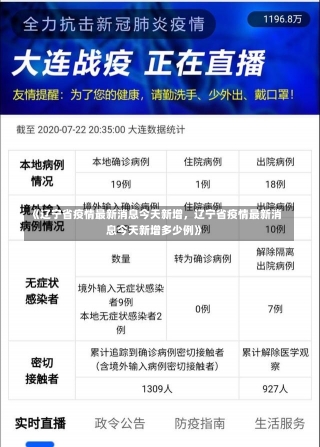 《辽宁省疫情最新消息今天新增，辽宁省疫情最新消息今天新增多少例》-第3张图片-多讯网