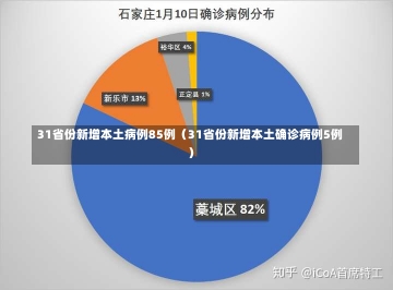 31省份新增本土病例85例（31省份新增本土确诊病例5例）-第2张图片-多讯网