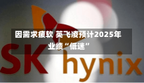 因需求疲软 英飞凌预计2025年业绩“低迷”-第1张图片-多讯网