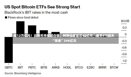 超12万亿元！比特币市值超白银，特斯拉收益近40亿元，相关ETF四天“吸金”246亿元-第2张图片-多讯网