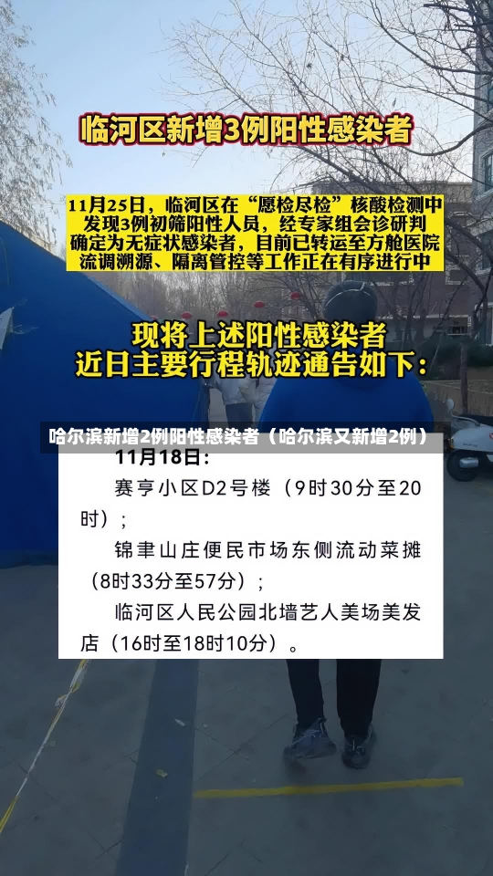 哈尔滨新增2例阳性感染者（哈尔滨又新增2例）-第3张图片-多讯网