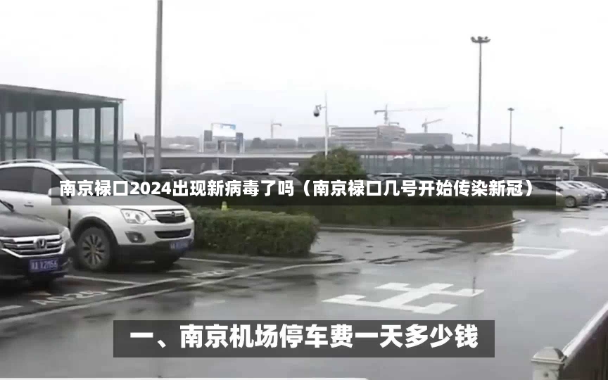 南京禄口2024出现新病毒了吗（南京禄口几号开始传染新冠）-第2张图片-多讯网