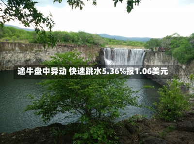 途牛盘中异动 快速跳水5.36%报1.06美元-第1张图片-多讯网