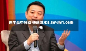 途牛盘中异动 快速跳水5.36%报1.06美元-第2张图片-多讯网