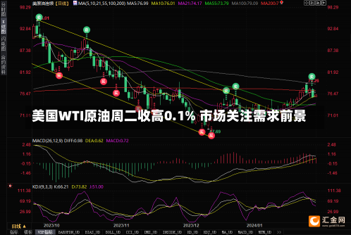 美国WTI原油周二收高0.1% 市场关注需求前景-第1张图片-多讯网