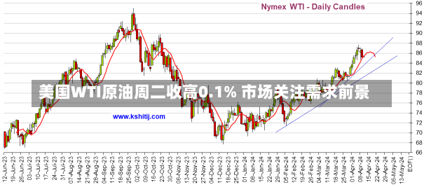 美国WTI原油周二收高0.1% 市场关注需求前景-第2张图片-多讯网