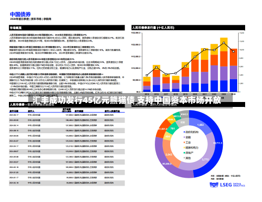 汇丰成功发行45亿元熊猫债 支持中国资本市场开放-第1张图片-多讯网