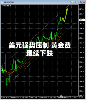 美元强势压制 黄金费用
继续下跌-第1张图片-多讯网