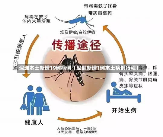 深圳本土新增19例病例（深圳新增1例本土病例行程）-第2张图片-多讯网