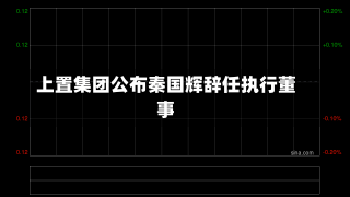 上置集团公布秦国辉辞任执行董事-第1张图片-多讯网