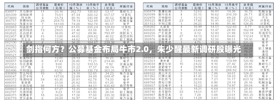 剑指何方？公募基金布局牛市2.0，朱少醒最新调研股曝光-第2张图片-多讯网