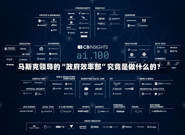 马斯克领导的“政府效率部”究竟是做什么的？-第1张图片-多讯网