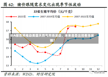 EIA报告将推动美国天然气市场波动，未来是否出现看涨反弹？-第2张图片-多讯网