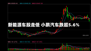 新能源车股走低 小鹏汽车跌超5.6%-第1张图片-多讯网