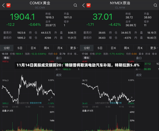 11月14日美股成交额前20：特朗普将取消电动汽车补贴，特斯拉跌5.8%-第1张图片-多讯网