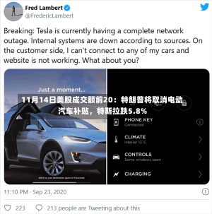 11月14日美股成交额前20：特朗普将取消电动汽车补贴，特斯拉跌5.8%-第2张图片-多讯网