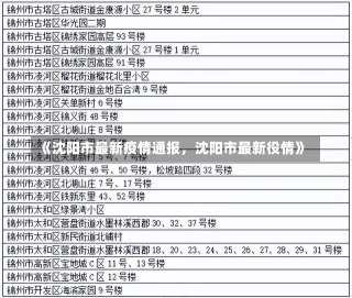 《沈阳市最新疫情通报，沈阳市最新役情》-第2张图片-多讯网