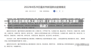 湖北昨日新增本土确诊5例（湖北新增2例本土确诊轨迹）-第2张图片-多讯网