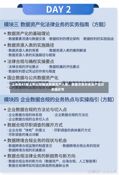 上半年41家上市公司推进数据资产入表，数据交易所成资产定价关键环节-第3张图片-多讯网