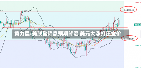 黄力晨:美联储降息预期降温 美元大涨打压金价-第2张图片-多讯网