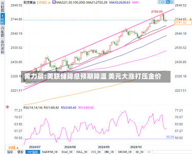 黄力晨:美联储降息预期降温 美元大涨打压金价-第3张图片-多讯网