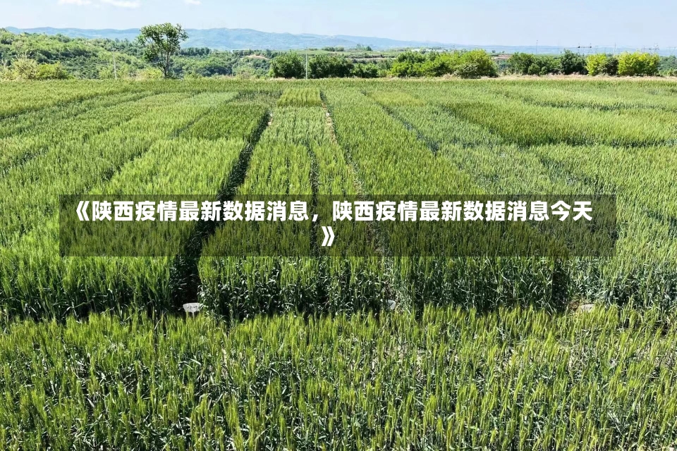 《陕西疫情最新数据消息，陕西疫情最新数据消息今天》-第1张图片-多讯网