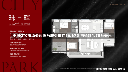 美国OTC市场必迈医药股价重挫16.67% 市值跌1.75万美元-第2张图片-多讯网
