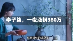 李子柒，一夜涨粉380万-第2张图片-多讯网