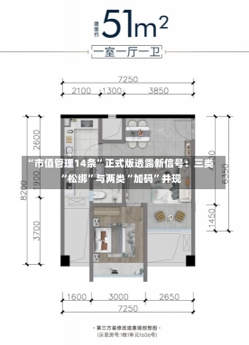 “市值管理14条”正式版透露新信号：三类“松绑”与两类“加码”并现-第2张图片-多讯网