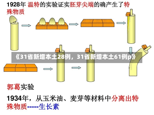 《31省新增本土28例，31省新增本土61例p》-第2张图片-多讯网