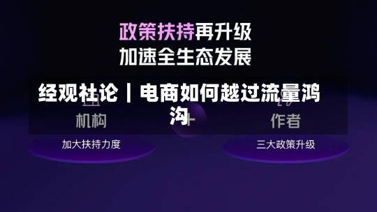 经观社论｜电商如何越过流量鸿沟-第3张图片-多讯网