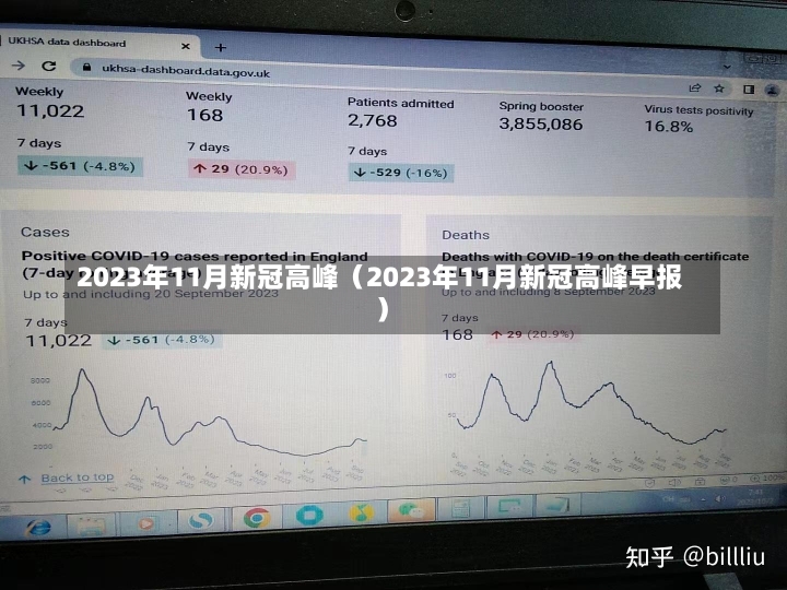 2023年11月新冠高峰（2023年11月新冠高峰早报）-第2张图片-多讯网