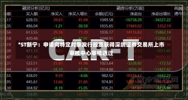 *ST新宁：申请向特定对象发行股票获得深圳证券交易所上市审核中心审核通过-第2张图片-多讯网