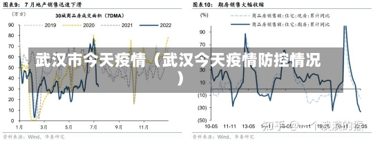 武汉市今天疫情（武汉今天疫情防控情况）-第2张图片-多讯网