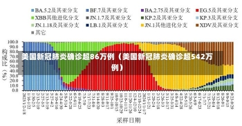 美国新冠肺炎确诊超86万例（美国新冠肺炎确诊超542万例）-第2张图片-多讯网