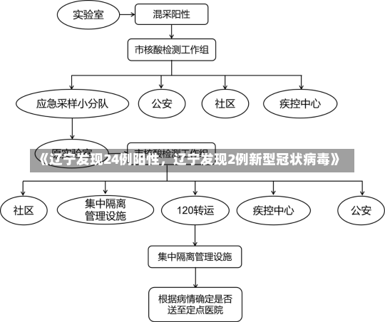 《辽宁发现24例阳性，辽宁发现2例新型冠状病毒》-第2张图片-多讯网