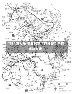 “郎”字纠纷 参与起草《商标法》的专家这么说-第1张图片-多讯网