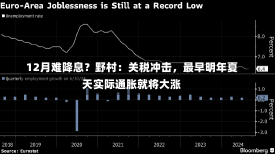 12月难降息？野村：关税冲击，最早明年夏天实际通胀就将大涨-第2张图片-多讯网