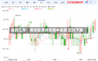 纽约汇市：美元在清淡交投中走低 日元下跌-第3张图片-多讯网