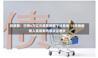 财政部：已将6万亿元债务限额下达各地 10月税收收入实现年内首次正增长-第1张图片-多讯网